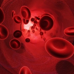 Blood flowing through an artery (Red Globules)